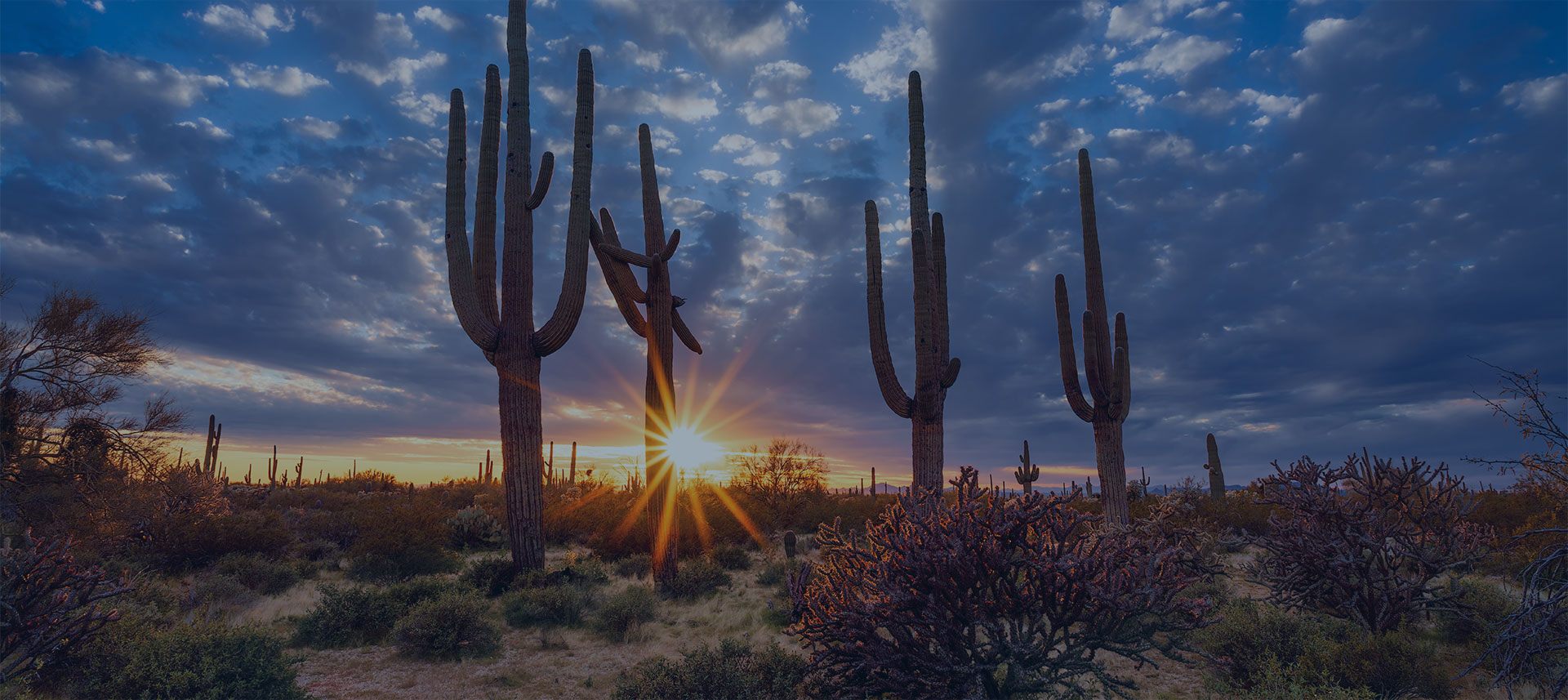 Photo of fast-insurance-apache-junction