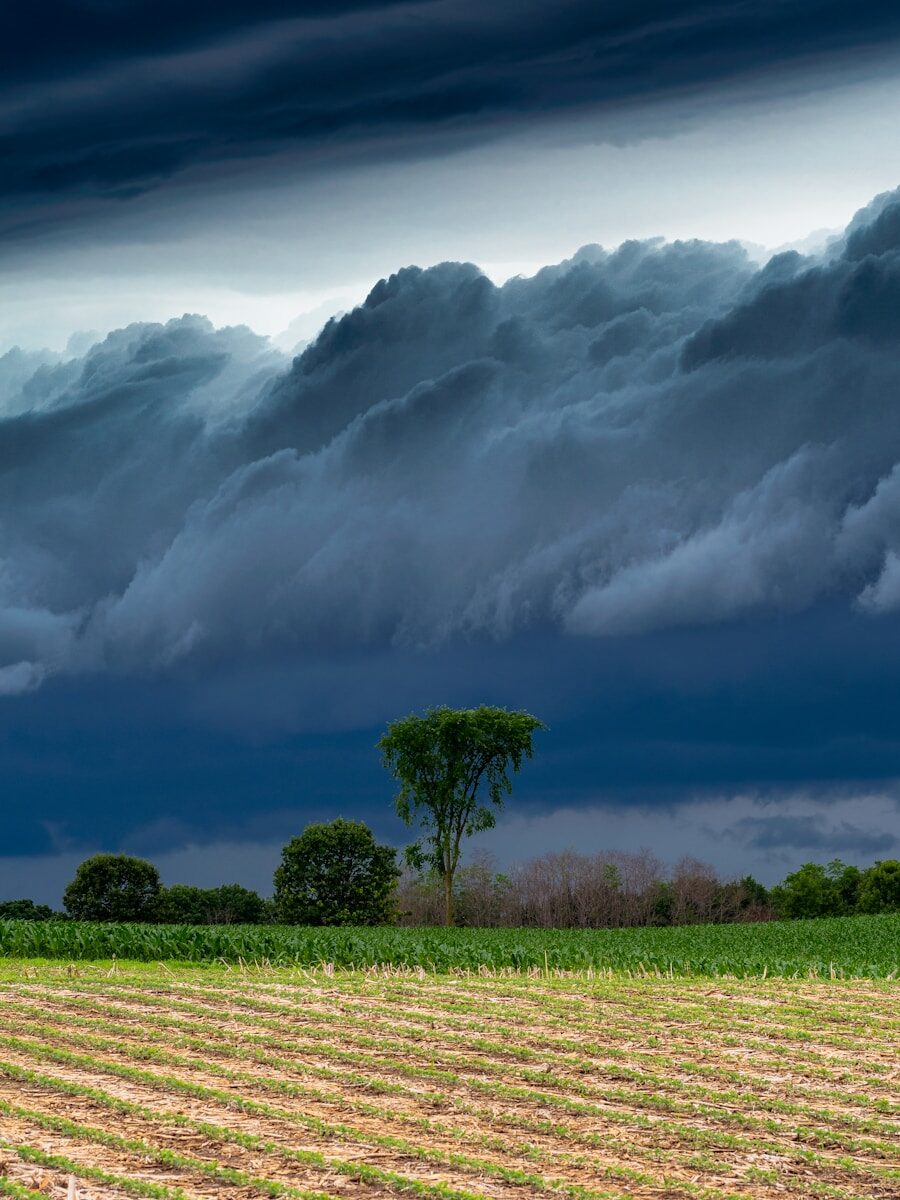 Does Your Car Insurance Cover Monsoon Damage in Mesa, Apache Junction, and Chandler, AZ?